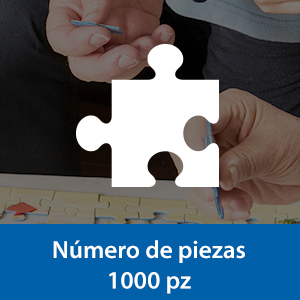 1000 piezas