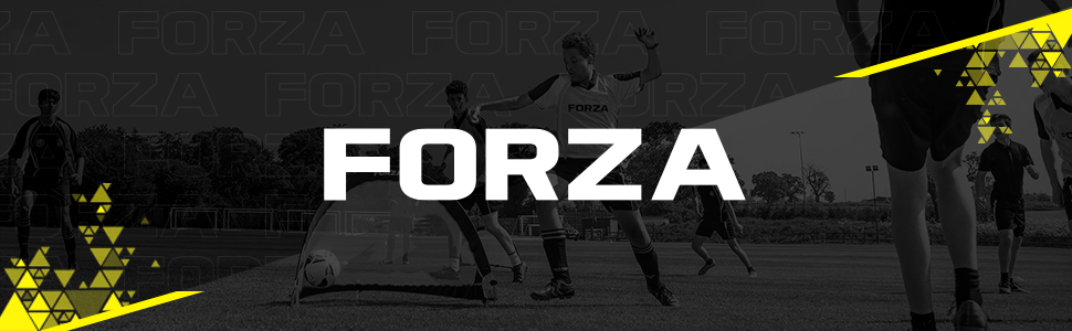 FORZA Hero