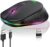 Ratón inalámbrico, ratón de Juego de 2.4 GHz Bluetooth 5.1, ratón silencioso con Receptor USB, Ratones portátiles para PC, Tablet, portátil con Win/Pad/Mac/Linux/Andriod/iOS, Regalo (Negro)