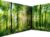 murando Fotomurales autoadhesivo Bosque 539×250 cm Papel Pintado Decoración de Pared Murales Pegatina decorativos adhesivos 3d moderna de Diseno Landscape Nature Paisaje Panorama c-A-0058-a-b