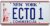 Ghostbusters 2 | ECTO 1 | Placa de matrícula con sello de metal