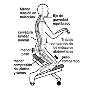 silla fisioterapeuta 