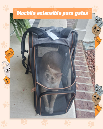 expandable cat backpack