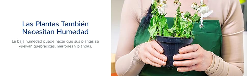 humidificador para plantas