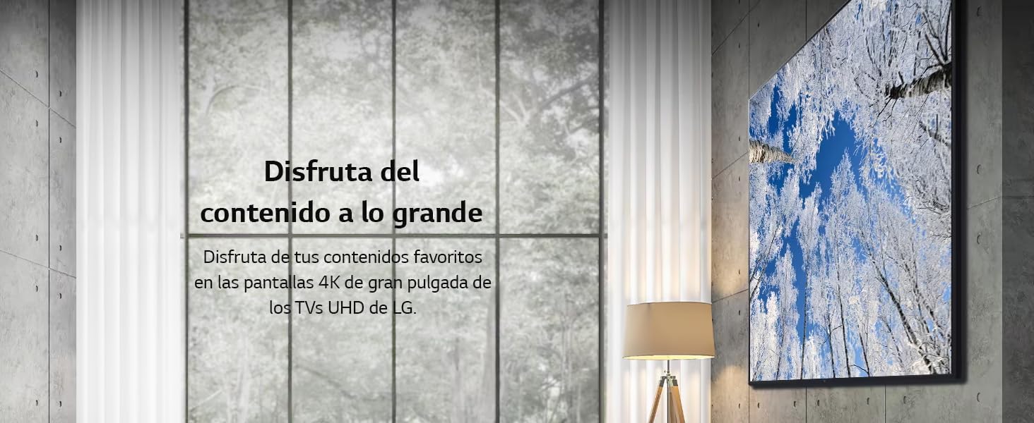 LG, lg, UR73006LA, televisores lg, televisores UHD, UHD, Televisor, UDH UR78006LK