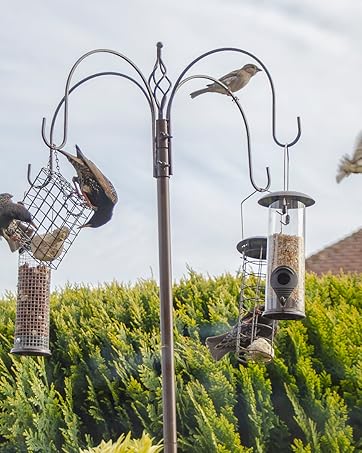 alimentador de pájaros de jardín gorrión paloma azul tit nueces ardilla alimentación