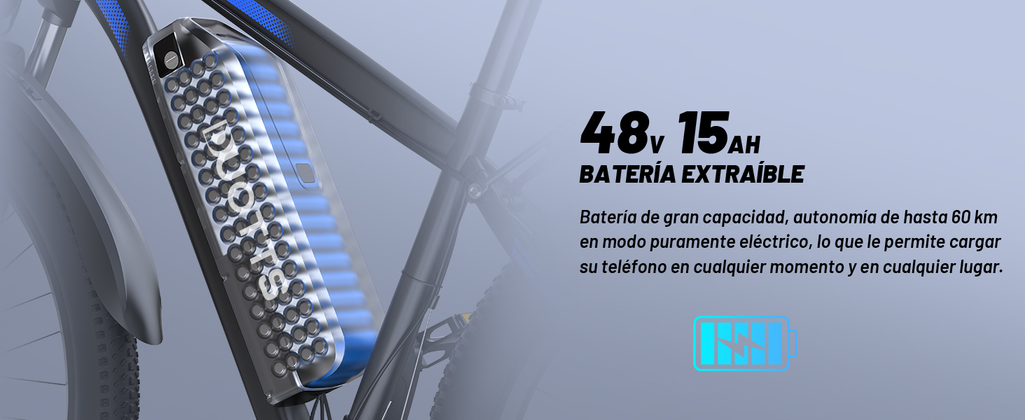 bicicleta eléctrica