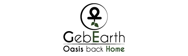 gebearth oasis back home