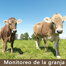 seguridad de casmonitoreo de la granja