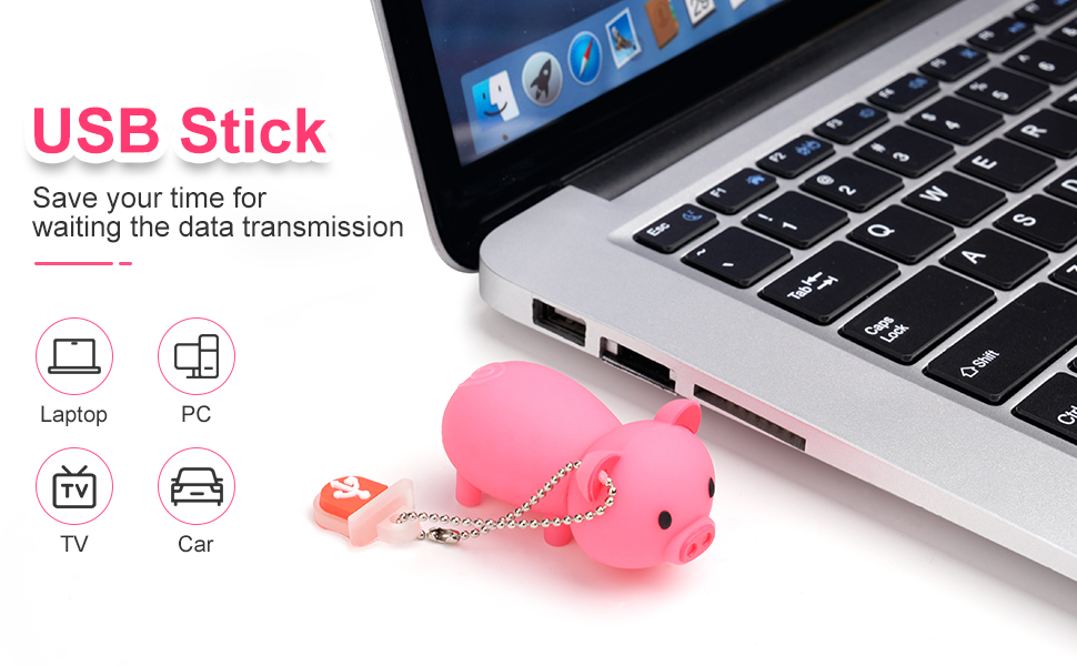 USB Flash Drive