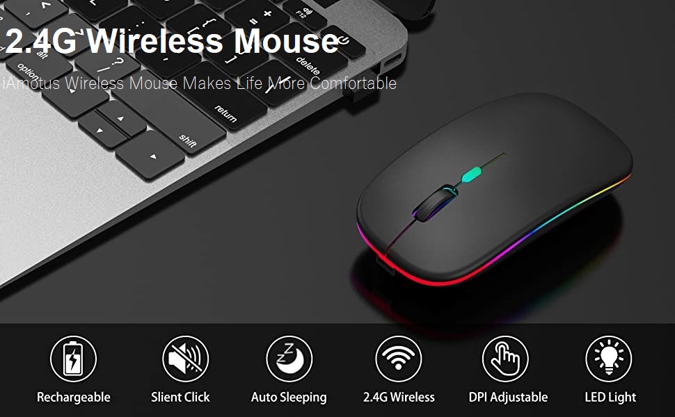 mouse