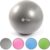 Apollo Pelota de Pilates 65cm | Pelota Pilates 65 cm Robusta Incluye Bomba | Pelota Yoga para la Espalda | Pelota para la Oficina | Fitness Ball 4 Colores