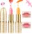 Likesing 2 Piezas Pintalabios Magico Labial Cambia Color PH Labiales Barra de Labios Permanente Bálsamo Labial Hidratante Lip Tint Gloss Brillo Labios Lapiz Kit Maquillaje Regalo Mujeres Niña