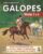 CURSO DE EQUITACIÓN. GALOPES NIVELES 5 Y 6