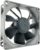 Noctua NF-R8 redux-1800, Ventilador de Alto Rendimiento, 3 Pines, 1800 RPM (80 mm, Gris)