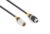 PD CONNEX 177.938 CX104-6 DMX IP65 XLR 3-PIN MACHO-XLR HEMBRA 6M